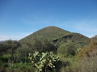 Monte_Mojo - 30122011 123.jpg